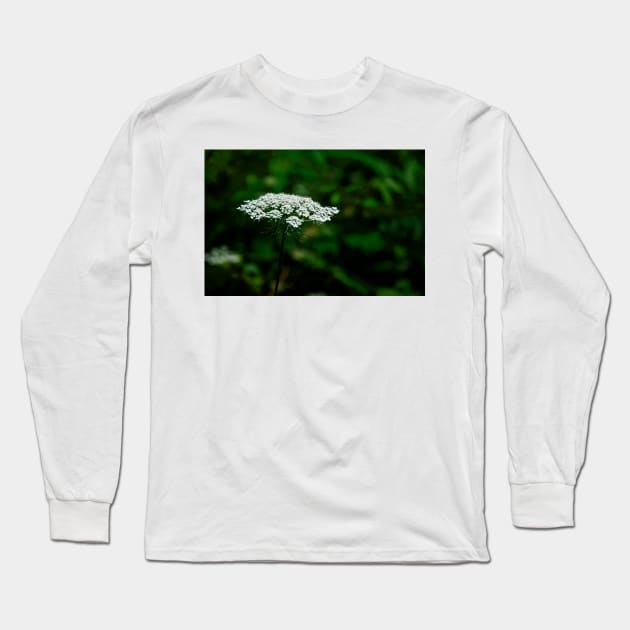 Queen Anne's Lace, White on Green Long Sleeve T-Shirt by BrianPShaw